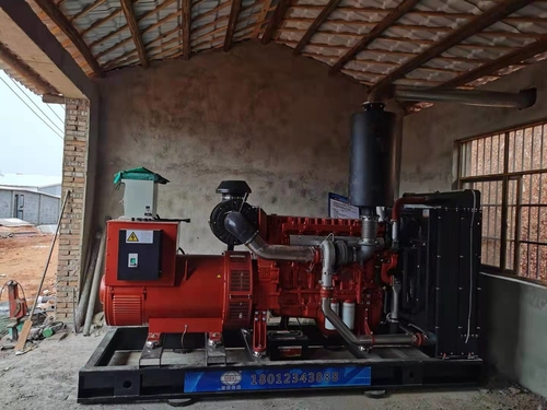 Blog perusahaan terbaru tentang Genset diesel 400KW dipasang di pabrik peternakan unggas