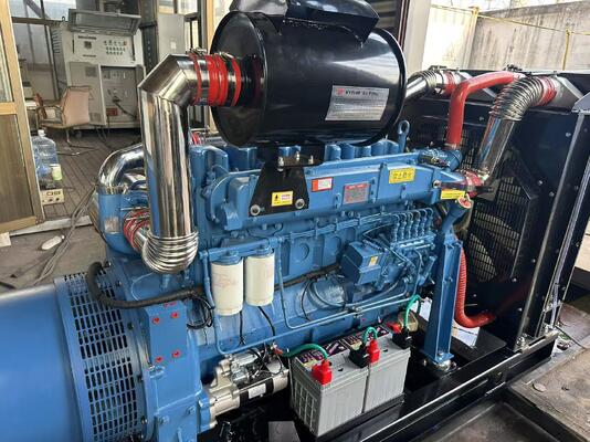 Harga yang bagus 200KW / 250KVA Generator Diesel terbuka / tertutup / kedap suara Solusi daya hemat biaya untuk pelanggan Anda on line